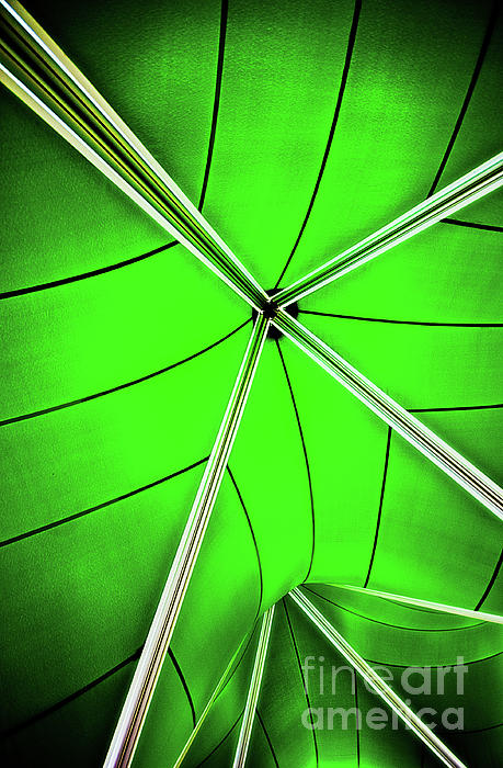 Abstract Of Green Photograph