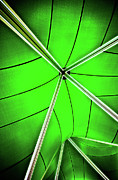Poster / Fine Art Print Poster / Fine Art Print