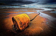 Poster / Fine Art Print