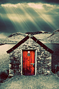 Poster / Fine Art Print Poster / Fine Art Print